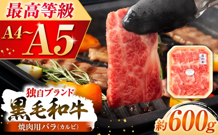 
                  くまもと黒毛和牛「藤彩牛」バラ(カルビ)焼き肉用 約600g /  黒毛和牛 牛肉 冷凍 肉 にく 熊本県 菊陽 菊陽町 バラ カルビ かるび 和牛 焼き肉 焼肉用 焼肉 焼き肉用 ギフト 贈答 BBQ バーベキュー  お取り寄せ 冷凍 A4 A5 霜降り 部位 グルメ 【株式会社フジチク】[BHAD122]
                