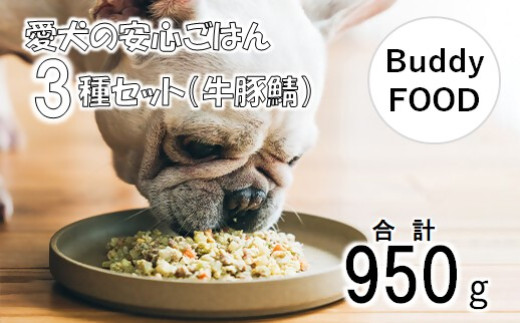 完全国産・獣医師オススメの愛犬の安心ごはん【Buddy FOOD バディフード】 3種セットC（牛豚鯖） AS-848