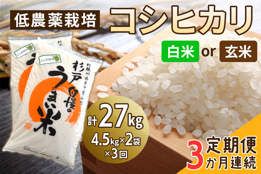 
新米 [定期便／3ヶ月] 低農薬栽培のコシヒカリ 計27kg (4.5kg×2袋×3ヶ月連続)｜おいしい お米 コメ こめ ご飯 ごはん 白米 玄米 お取り寄せ 直送 贈り物 贈答品 ふるさと納税 埼玉 杉戸 [0540-0542]
