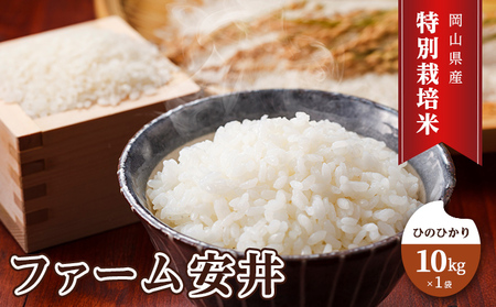 お米 【2025年11月～発送予定】 特別栽培米 ひのひかり 10kg×1袋 米 白米 岡山県産 ファーム安井 精米 ライス ご飯 おにぎり お弁当 和食 主食 国産 炭水化物 直送 産地直送 粘り 香り バランス