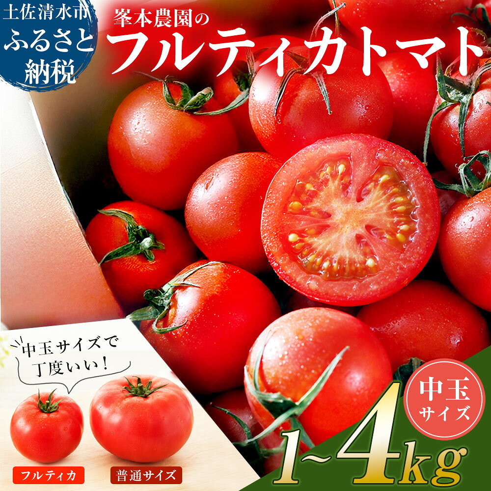 【ふるさと納税】【11月発送】トマト 国産 中玉 サイズ 選べる 1kg 2kg 3kg 4kg ミディトマト フルティカ フルティカトマト 新鮮 野菜 夏野菜 産地直送 高知 トマトジュース 5000円ちょうど 8000円 12000円 15000円【R01031】【9月30日受付終了】