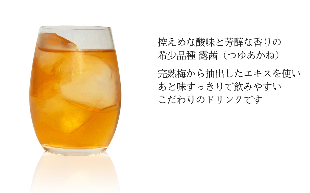 梅農園ドリンク 塩分プラス 1.8L (180ml×10本) 贈答用化粧箱入り【120587-002-04】