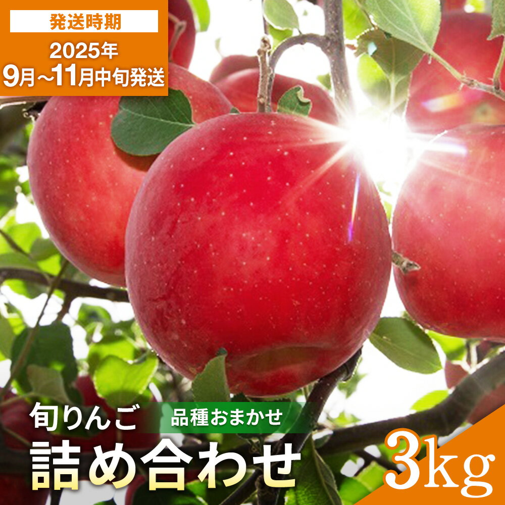 【ふるさと納税】＼出荷中／ 厳選 旬 りんご 詰め合わせ 3kg 秀品 早生 品種お任せ さんさ こうりん シナノスイート シナノゴールド トキ アキタゴールド 秋田紅あかり の中から 濃厚 で ジューシー な 美味しい 林檎 をお届け【藤山果樹園】[L2801]