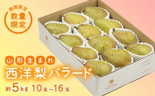 《先行予約 2026年度発送》【王将果樹園】西洋梨バラード5kg  なし ナシ 梨 デザート フルーツ 果物 くだもの 果実 食品 山形県 FSY-1856