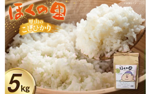 米 令和7年度産 里山のこしひかり ほくの里 5kg 1袋 [JA石川かほく 石川県 津幡町 tb17nir90047] お米 白米 ご飯 ごはん コメ こめ 小分け 家庭用 コシヒカリ おこめ 精米