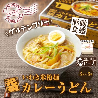 ふるさと納税 いわき市 無地熨斗　ギフトにおすすめ　【グルテンフリー】いわき米粉麺カレーうどん　3食入×3箱