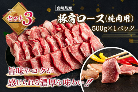 数量限定 豚肉 3種盛り 粗挽きウインナー セット 合計1.6kg以上 肉 豚 惣菜 国産 おかず 食品 お肉 焼肉 送料無料_C116-23