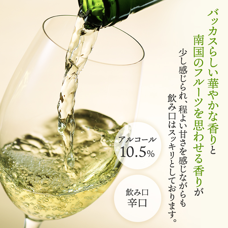 NIKI Hills Winery 白ワイン【 NEIRO 2023 Assemblage 】 750ml ワイン 洋酒_イメージ2