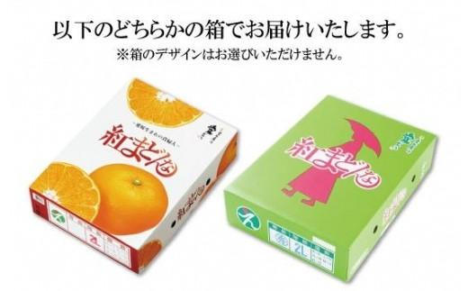 【12月中旬から発送】 紅まどんな＜JA正規化粧箱入り＞約3kg 紅まどんな みかん 贈答 ギフト プレゼント 高級 柑橘 松山 愛媛県 ベニマドンナ 愛媛県産紅まどんな フルーツ 果物 柑橘 みかん