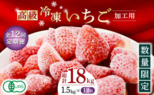 
【12回定期便】【数量限定】高級 冷凍 いちご 加工用 約1.5kg【伊藤農園】イチゴ いちご 苺 熊本県 特産品 オーガニック [ZBB017]
