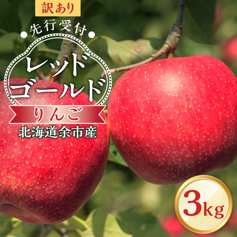 【ふるさと納税】【先行予約2025年10月中旬より発送】訳アリ りんご（レッドゴールド）3kg【北海道余市町産】 北海道産 りんご予約 北海道りんご 酸味少ない 甘口りんご みずみずしい りんご ジューシー 果肉やわらか しゃりっとした食感 秋の味覚 北海道 余市町 送料無料