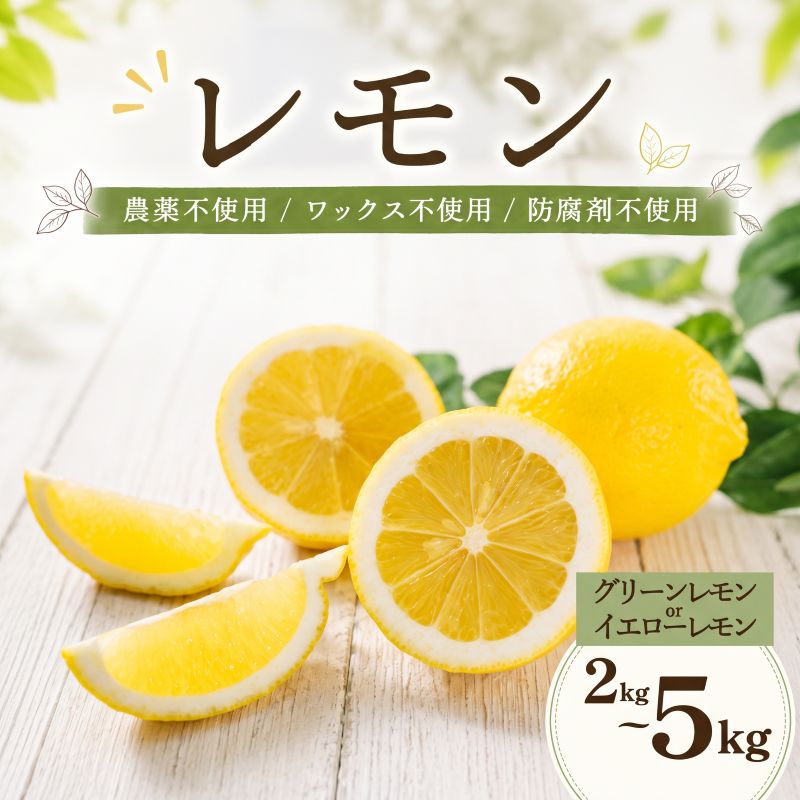 【ふるさと納税】 レモン 約2kg / 約5kg グリーンレモン イエローレモン 家庭用 | レモン 愛媛 農薬不使用 ワックス不使用 防腐剤不使用 柑橘 れもん かんきつ lemon フルーツ ぐりーんれもん いえろーれもん 果物 レモンジュース グルメ お取り寄せ 送料無料 松山市 愛媛県