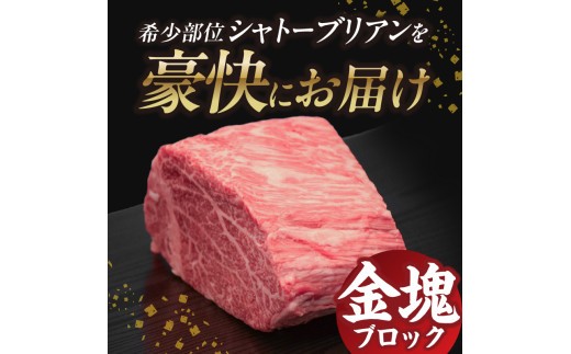 山形牛シャトーブリアン 金塊ブロック 450g  【肉の小林】
