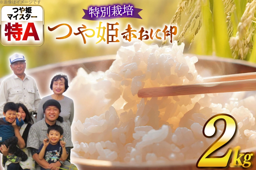 
                  米 令和7年産 特別栽培米 赤おに印 つや姫 2kg [金子農園 山形県 高畠町 tk06ays950042] 精米 白米 米 お米 ブランド米 ごはん ご飯
                