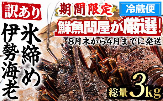 【1023210a】＜訳あり＞朝獲れ発送！鮮魚問屋が厳選した氷締め伊勢海老(3～7尾・総量3kg以上) 伊勢エビ 伊勢えび 刺身 さしみ えび 海老 魚介類 海鮮 刺身 塩焼き 訳あり 訳アリ 【江川商店】