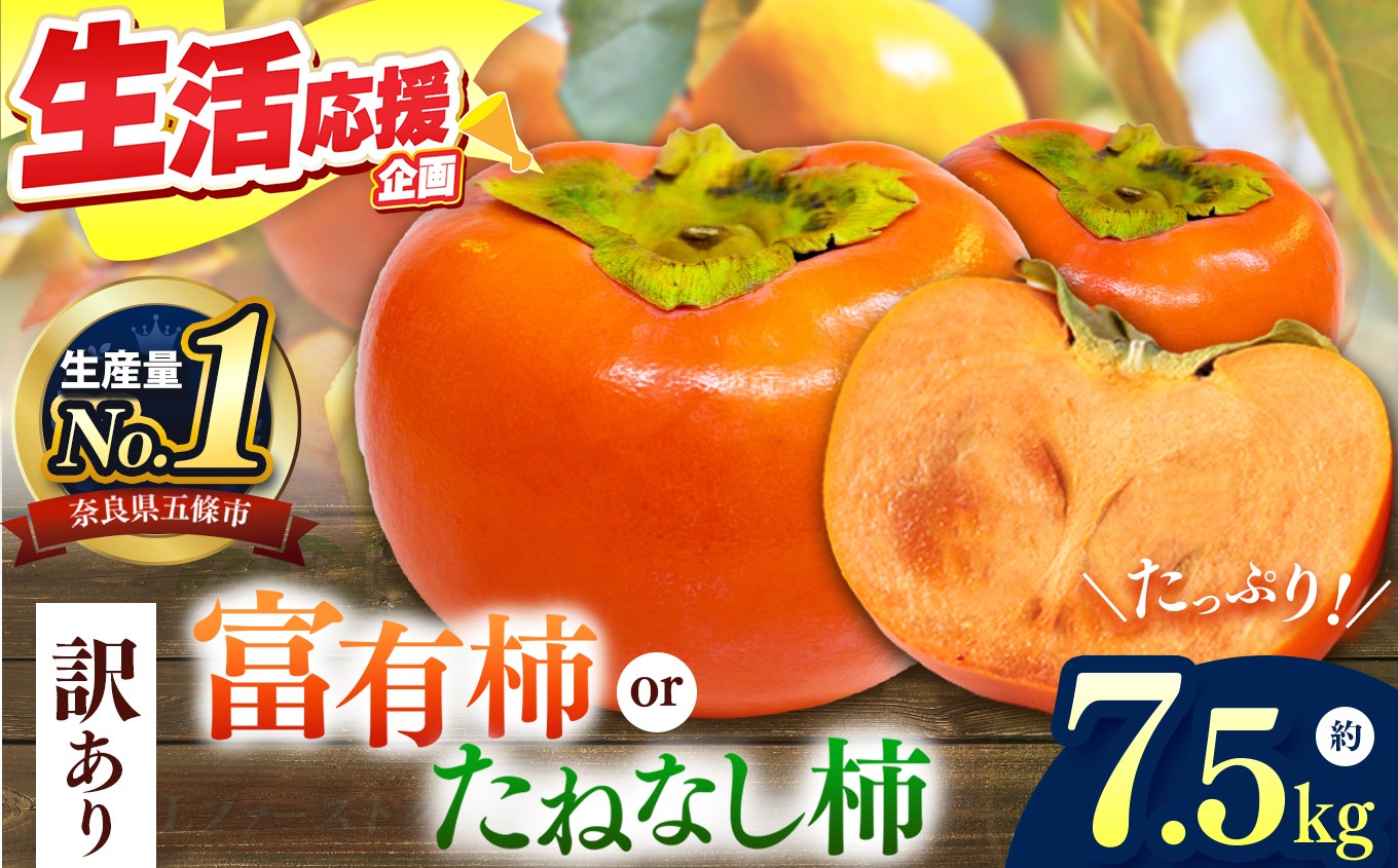 
                  選べる 柿 2種！ 【家庭用】 たねなし柿 or 富有柿  約7.5kg | フルーツ くだもの 果物 柿 かき カキ 訳 あり わけあり 訳アリ 訳あり 家庭用 自宅用 ご自宅用 大容量 どっさり たっぷり  甘い 種なし 歯ごたえ 果汁 たっぷり 濃厚 コク やわらかい 柔らかい 多汁 甘柿 ビタミン 食物繊維 豊富 産地直送 美容 奈良県 五條市  10月 11月 12月 秋 旬 味覚 
                