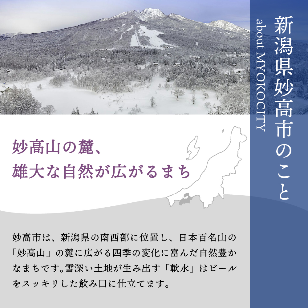 世界五大ビール審査会でトリプル受賞!妙高高原アルペンブリックビール3種ギフトセット(500ml×6本)【新潟県妙高市】