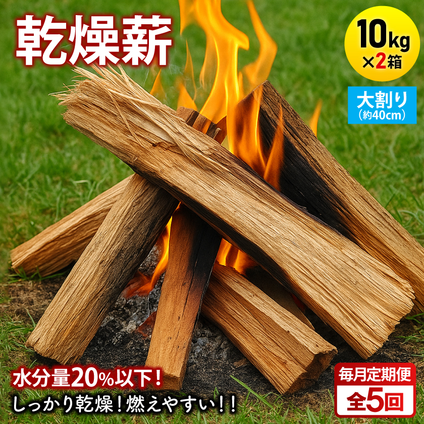 【毎月定期便】乾燥薪 キャンプ用 10kg×2箱 大割(約40cm) 広葉樹ミックス全5回【4087744】