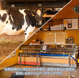  スフレチーズケーキ 5号サイズ チーズケーキ チーズケーキ チーズケーキ チーズケーキ