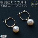 【ふるさと納税】＜明浜産あこや真珠8.5mm K18YGフープピアス＞ アコヤ真珠 パール パールチャーム ジュエリー アクセサリー プレゼント ギフト 贈答 記念日 品質保証書付き ナチュラルカラー シンプル PRAY akoyapearl 愛媛県 西予市 【常温】『1か月以内に順次出荷予定』