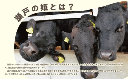 瀬戸の姫 300g（スライス） 牛肉 肉