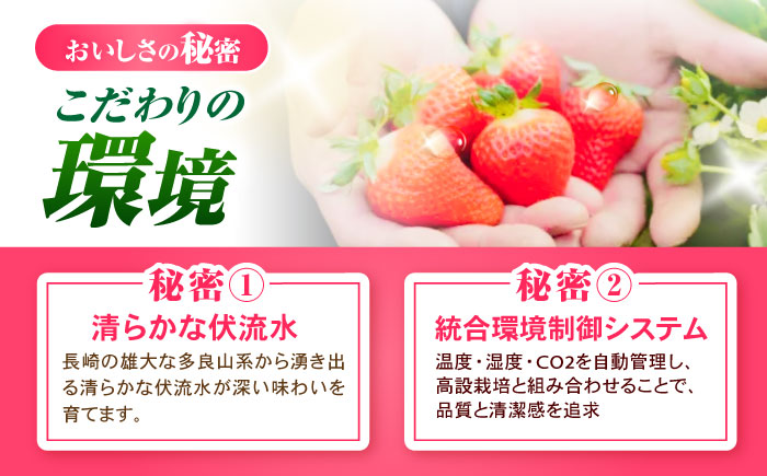 【完熟の恵み、ぎゅっと冷凍！】冷凍いちご「ゆめのか」 M-Lサイズ 1.5kg(500g×3) / いちご イチゴ 苺 冷凍 冷凍いちご 冷凍フルーツ イチゴジャム / 諫早市 / むらたサービス [