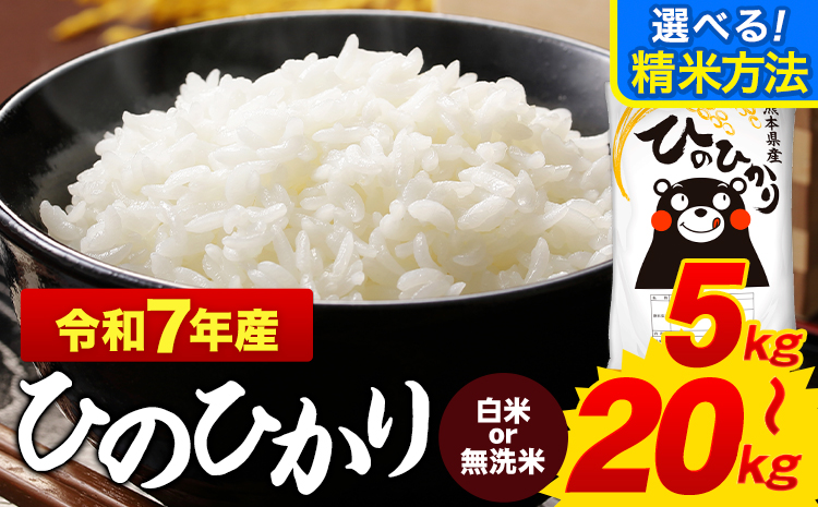 令和7年産 無洗米 白米 ひのひかり 選べる容量 5kg - 20kg《1-5日以内に出荷予定(土日祝除く)》熊本県産 ふるさと納税  精米  米 こめ ヒノヒカリ コメ