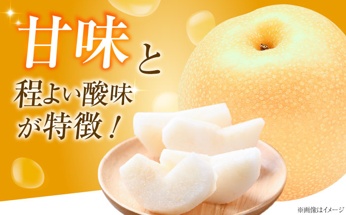 フルーツ松本の豊水梨(ほうすいなし) 6～9玉入り 〈2026年9月～発送〉 ／ フルーツ 果物 くだもの 食品 人気 おすすめ 送料無料 梨 なし 豊水梨 季節のフルーツ 【株式会社内子フレッシュパ