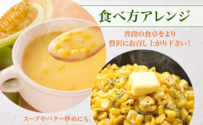 とうもろこし 20本 スイートコーン トウモロコシ コーン 甘い 採れたて 朝採り 野菜 旬の野菜 農作物 お取り寄せ 北海道産 産地直送 北海道 美深町 お届け:2025年8月上旬~2025年8月下