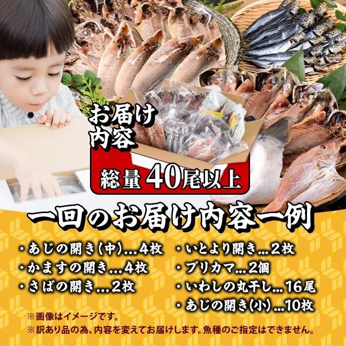 ＜訳あり＞ 干物大満足BOX (40尾以上・5-8種) スピード発送 【AQ68】【やまろ渡邉】