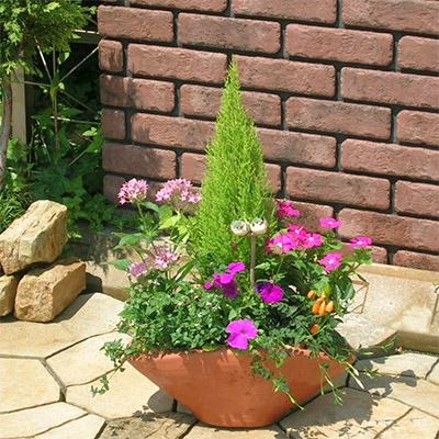 ふるさと納税 朝倉市 可愛いお花畑の寄せ植え(Lサイズ) |  | 01