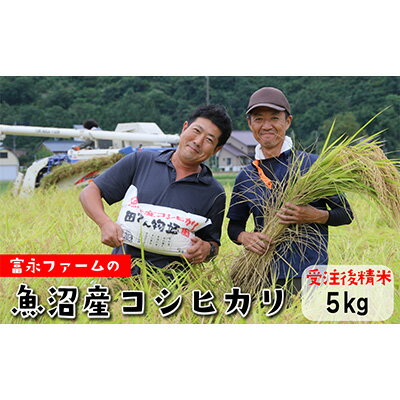 【ふるさと納税】令和7年産 農家の手「田でん物語」魚沼産コシヒカリ（精米）5kg お米 白米 ご飯 ブランド米 銘柄米 精米したて 新潟県産 直送 主食 炭水化物 　お届け：寄附入金確認後、約2週間～1ヶ月ほどでお届け