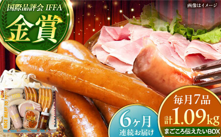 【全6回定期便】TESIOの自家製 ハム ＆ ソーセージ 『まごころ伝えたいBOX』  BCAD014 