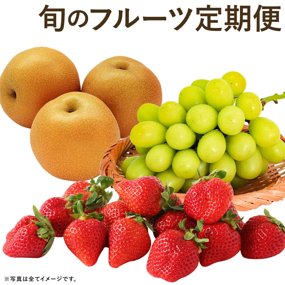 【ふるさと納税】【計3回定期便】数量限定 旬のフルーツ定期便（梨・シャインマスカット・あまおう） 果物 フルーツ 定期便 福岡県産 九州産 送料無料 【2026年7月下旬頃から順次発送予定】
