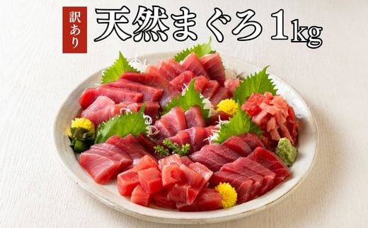 【訳あり】天然三崎まぐろ 1kg たっぷり10人分！不揃い赤身　M020-013