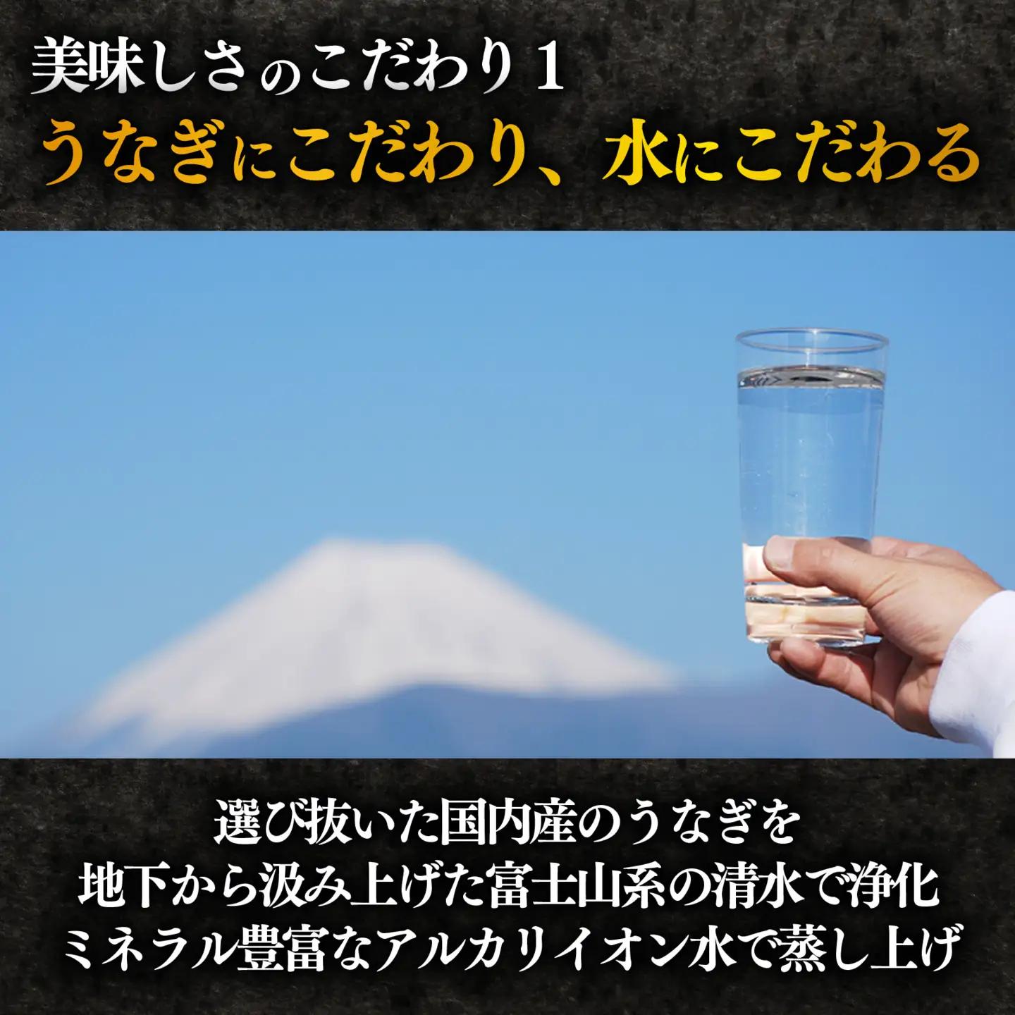 国産 うなぎ 蒲焼 5尾 沼津 うなぎ