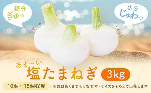ZS-702 【先行予約】湯田口海岸産 塩玉ねぎ 約3kg （3月以降順次発送）