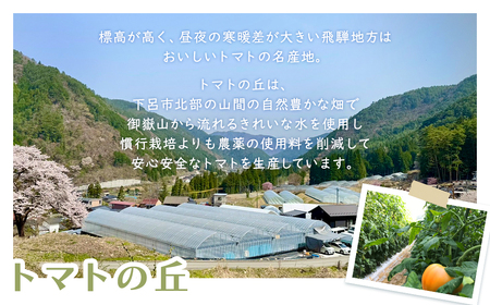 先行予約（2026年8月から順次発送）飛騨産 100％ 無添加トマトジュース（1L×2本入り）【113-1】