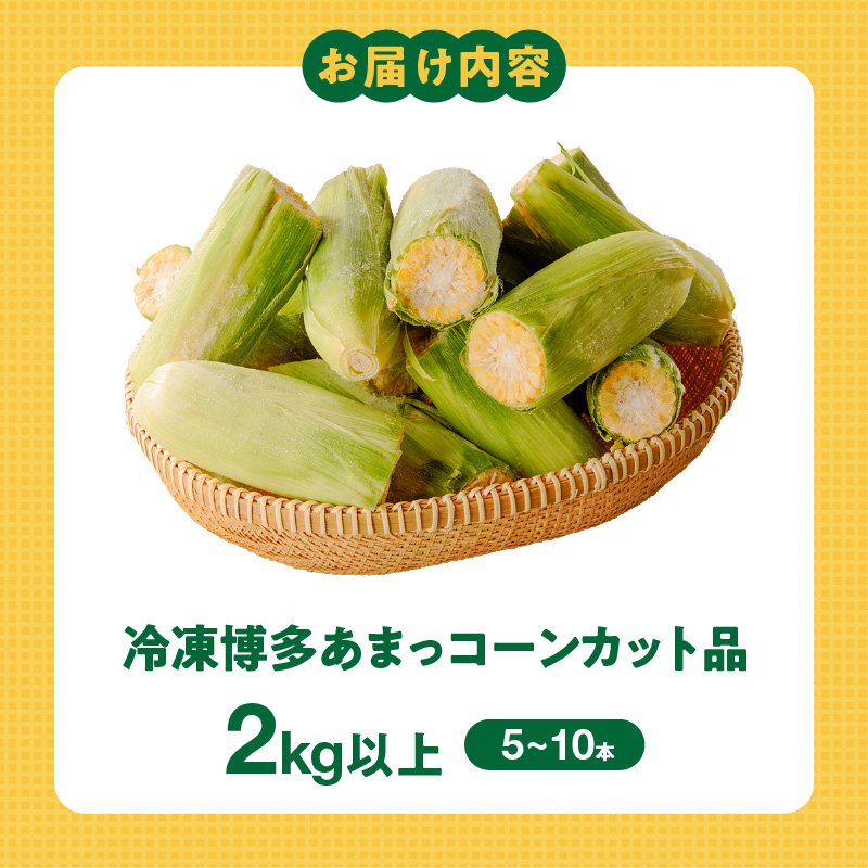 冷凍便！旬の時期に冷凍したSDGs米糠堆肥で作った博多あまっコーンカット品 2kg以上（5～10本） _ 博多あまっコーン カット 2kg以上 カット品 とうもろこし 国産 冷凍 メロンより甘い プレミアムコーン ふくおかエコ農産物 コーン フルーツのような甘さ 野菜 酒見農産 お取り寄せ 福岡県 久留米市 送料無料 _Gv051-01