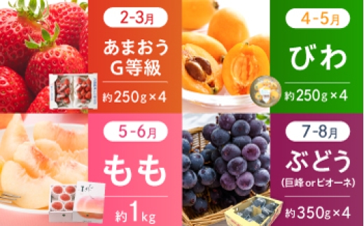 フルーツ定期便 ふるーつ定期便 果物定期便 くだもの定期便