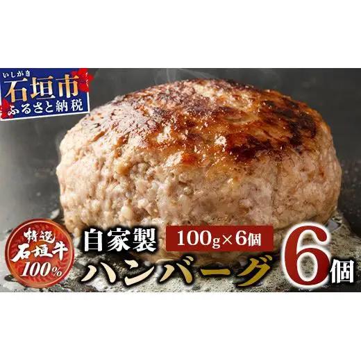 石垣牛100% ハンバーグ 100g×6個