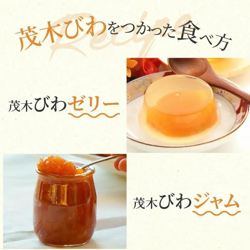 茂木びわ 約1kg (約250g×4パック)【2026-5月中旬～2026-6月中旬配送】| びわ