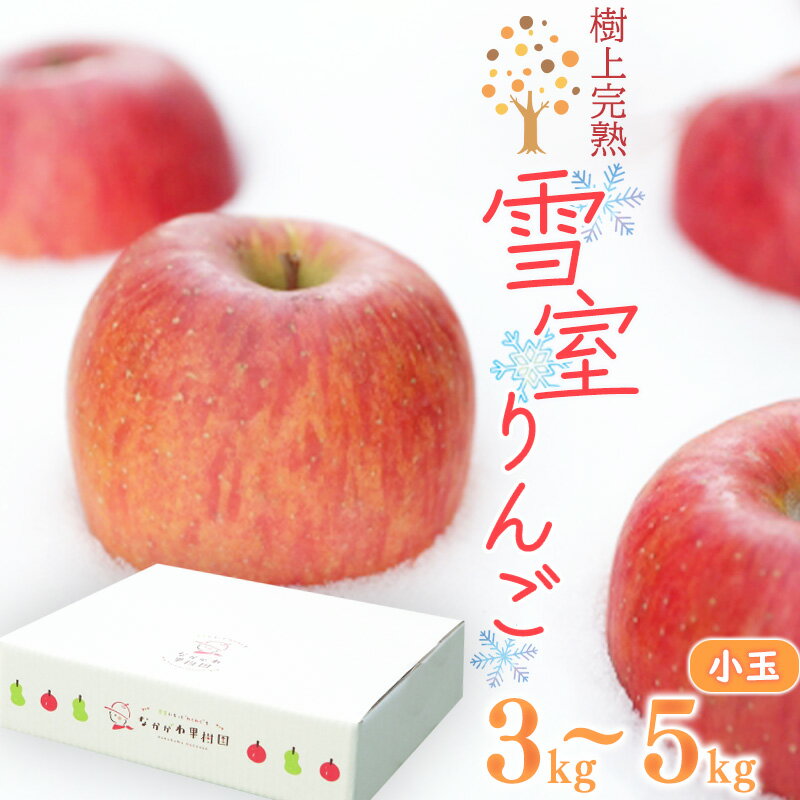 【ふるさと納税】選べる！ 雪室りんご 3kg ~ 5kg「樹上完熟 ふじりんご」 小玉サイズ 山形産 【2026年1月中旬頃〜3月頃 発送予定】／ 雪室 お取り寄せ ご当地 特産 果物 フルーツ くだもの リンゴ 林檎 季節 冬 食後 デザート 2025年産 令和7年産 山形県 3キロ 5キロ