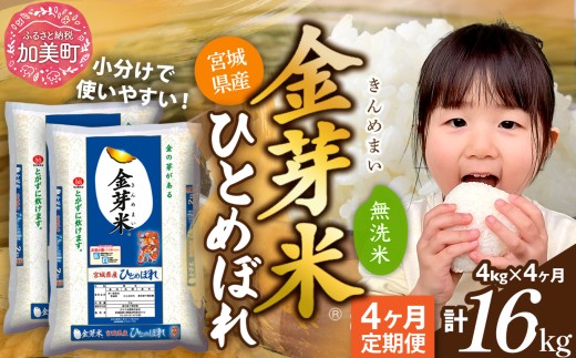 無洗米【 定期便 4回 】米  金芽米 令和7年 宮城県産 ひとめぼれ 計 16kg ( 4kg × 4ヶ月 )  [ 宮城県 加美町 ]   km-my-knm04-t4-r7