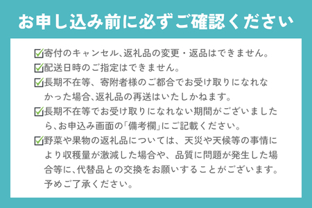 2種お楽しみ食べ比べセット「とちあいか＆スカイベリー」【2027年1月より順次発送】 [0961]
