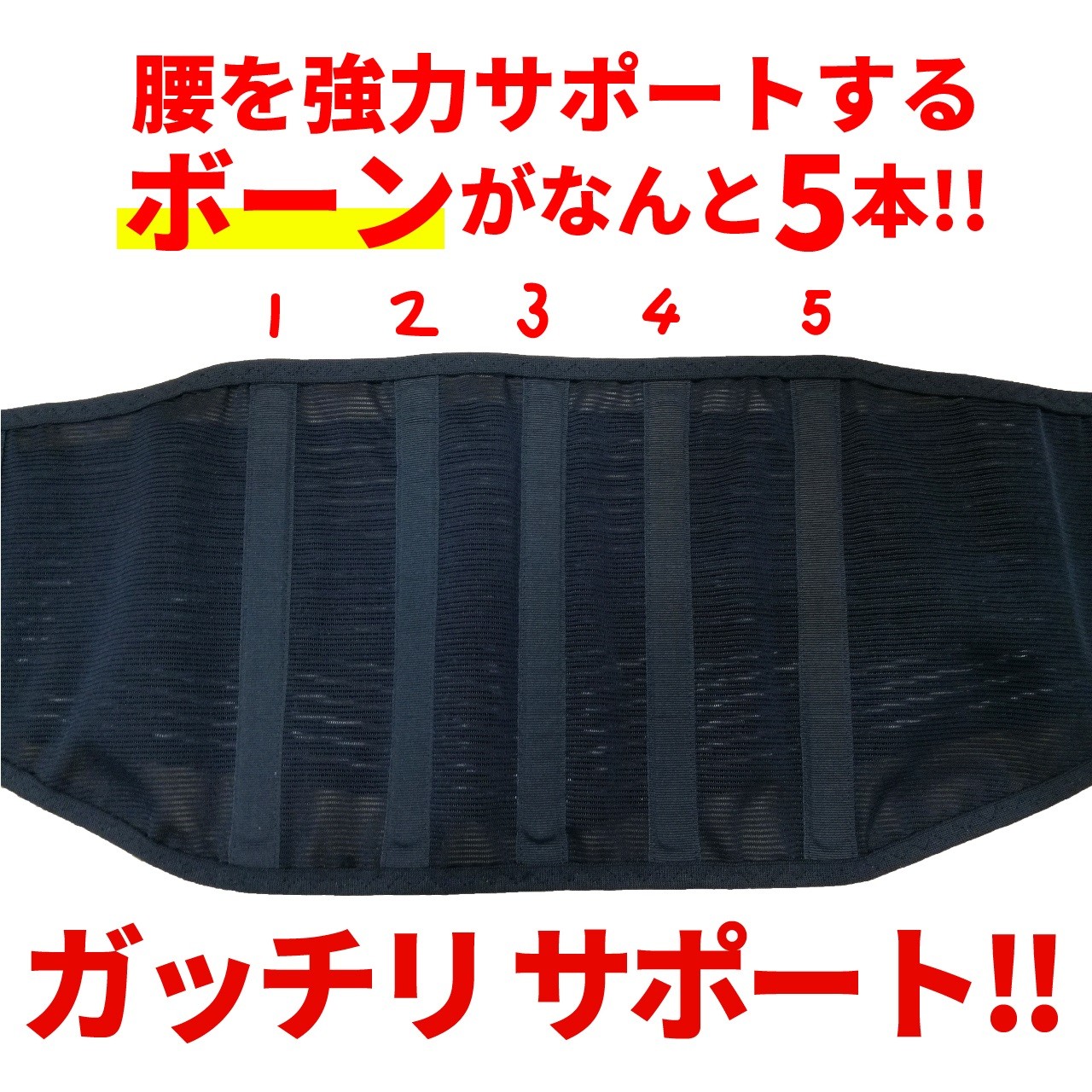 
                  腰補助サポーターLサイズ 株式会社シーエス 山口県 防府市 B-D21 腰痛 ベルト 骨盤ベルト コルセット 二重ベルト 蒸れない メッシュ 腰用 サポート 幅広 姿勢 介護 日本製
                