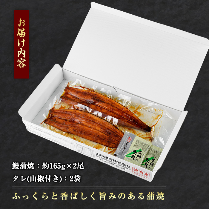 鹿児島県産 鰻の蒲焼(無頭背開き)約165g×2尾(山中水産/016-1065) うなぎ 国産 鹿児島 蒲焼 丑の日 丑 土用丑の日