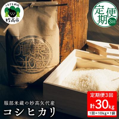 ふるさと納税 妙高市 【10月中旬より発送】【定期便】令和7年産 服部米蔵の妙高矢代産コシヒカリ 10kg×3回(計30k