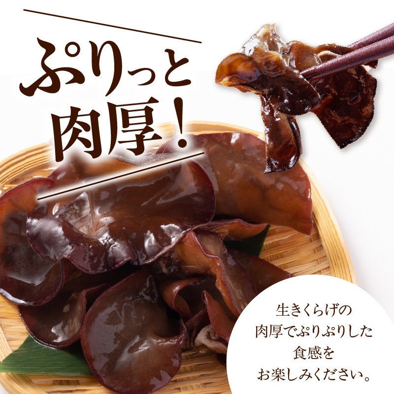 ※写真はイメージです