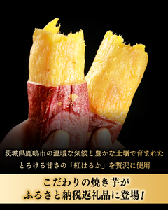 焼き芋 冷やし焼き芋 紅はるか 1kg 冷蔵